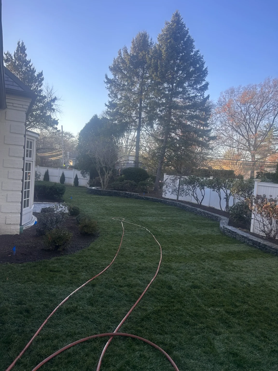 Backyard lawn and stone border